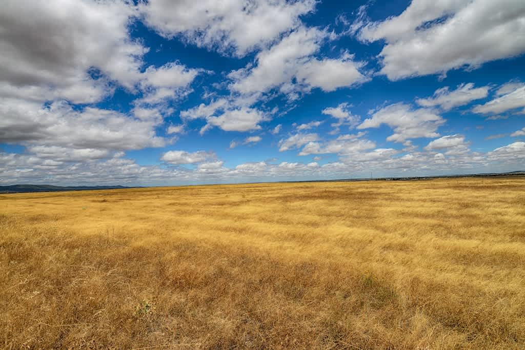 El campo expansivo se encuentra con un cielo nublado, representando el encuentro del cielo y la tierra.