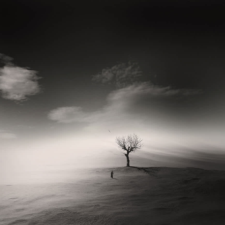 Un paisaje monocromático contemplativo protagonizado por una figura solitaria y un árbol.